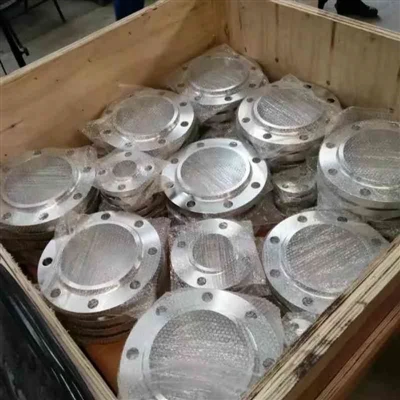 ASTM A182 F316 1.4401 1.4436 SS Slip On Flanges